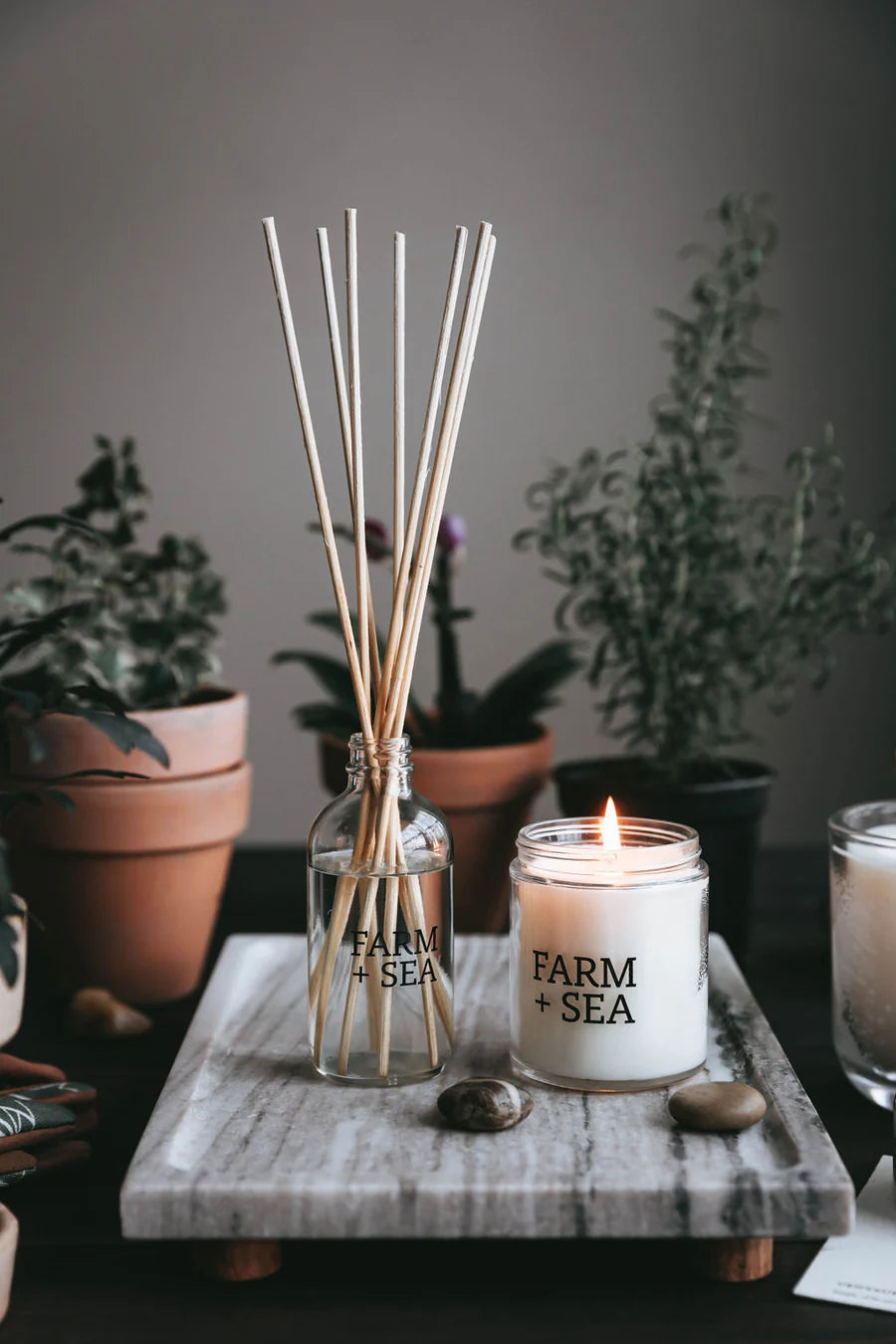 Farm + Sea Diffuser Collection – Coco Home Décor & Gifts