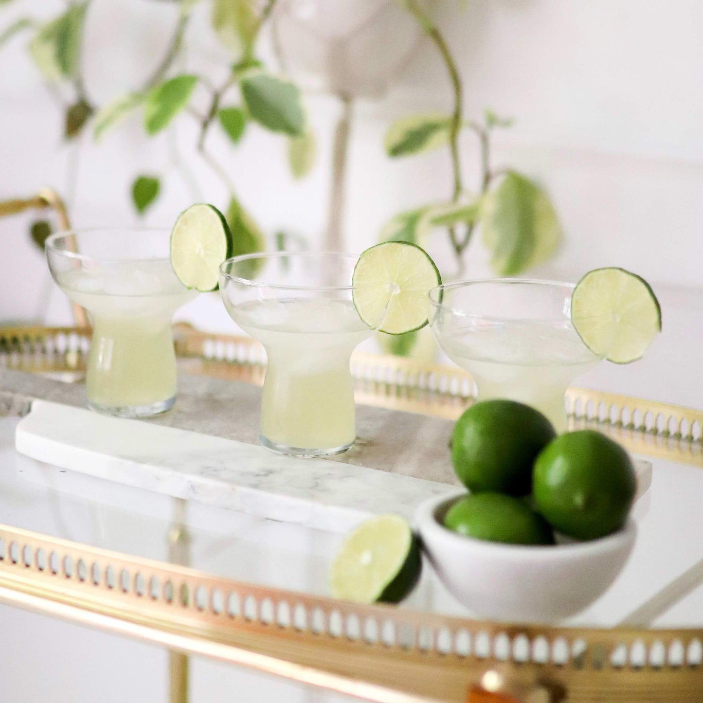Stemless Margarita Glasses
