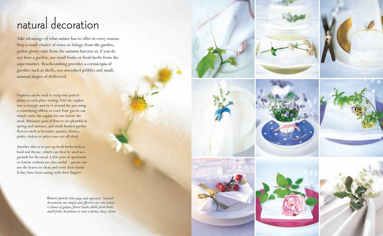 Art of Napkin Folding by