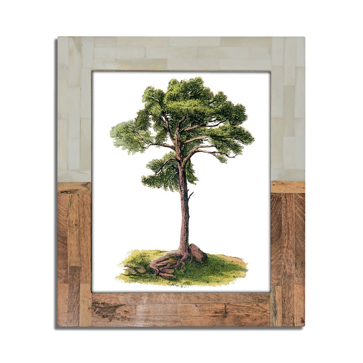 Split Wood & White Bone Frame 8x10